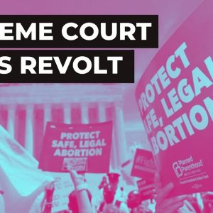 Society in Revolt: Why a Right-Wing Supreme Court Chose Stability