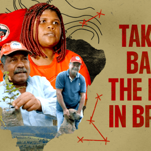 1 Million Members, 100 Million Trees: How Brazil’s Socialist Farmers Are Fighting Big Ag