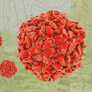 Polio Strikes Gaza: How Israel Is Using Disease As a Weapon