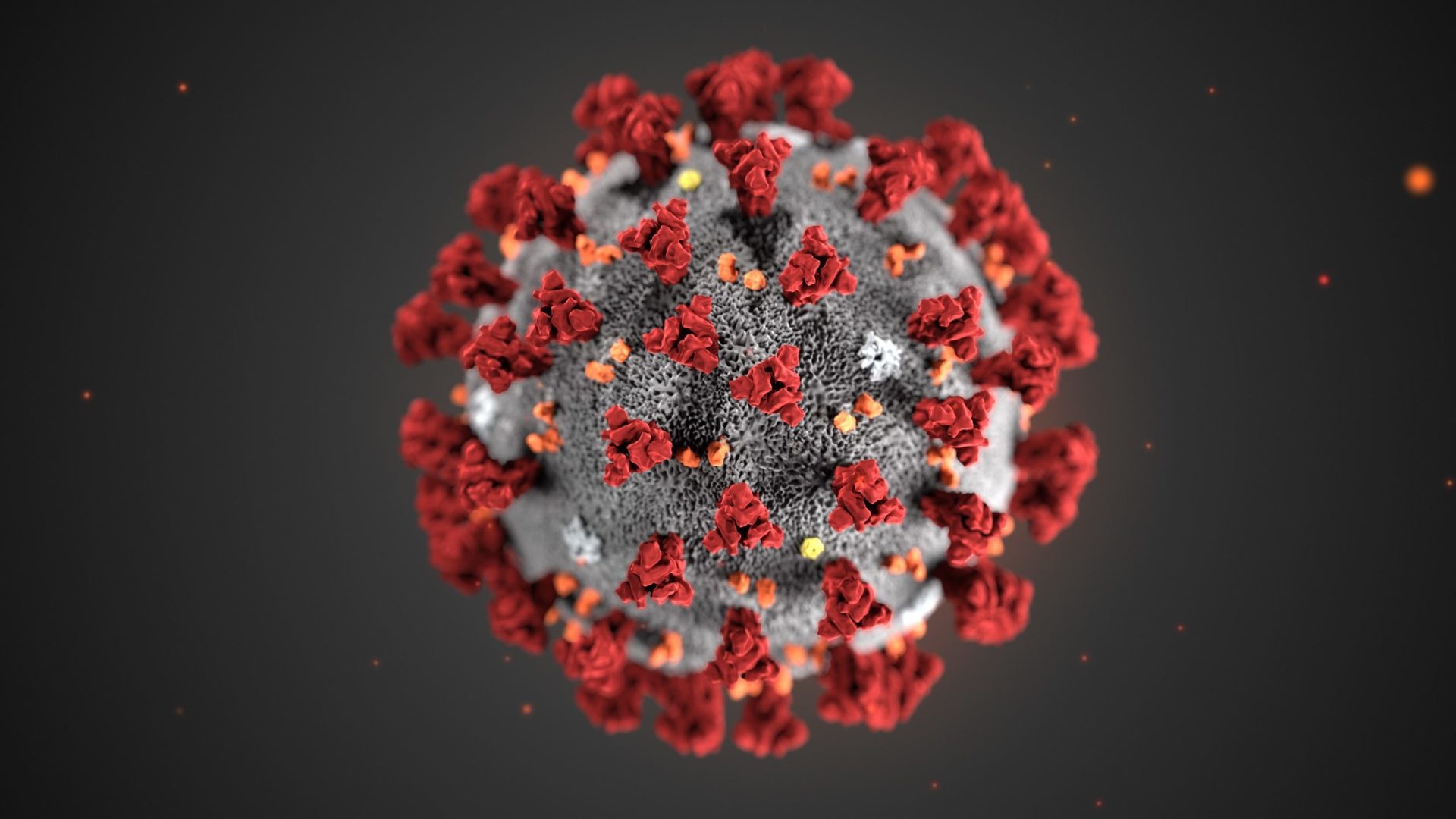 Novel coronavirus