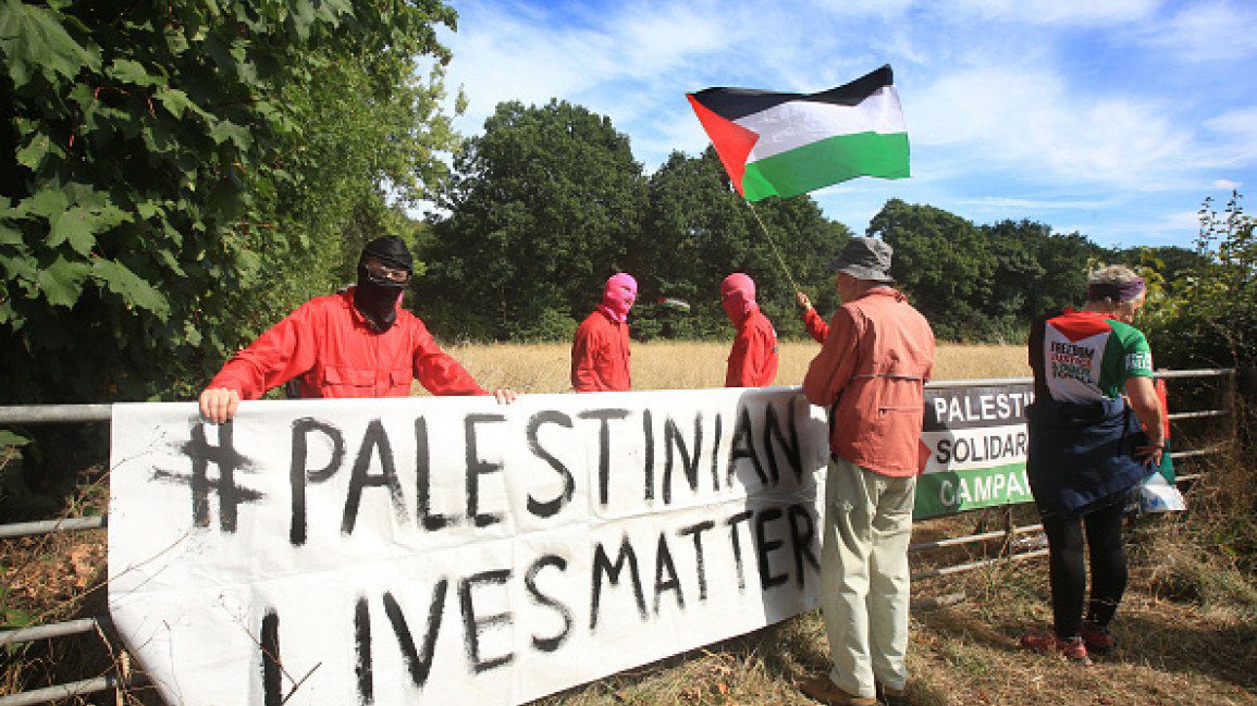 Activists and rights groups in the UK slam police action on pro-Palestine protests