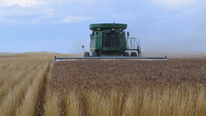 18-04 Ukraine Grain - Europe