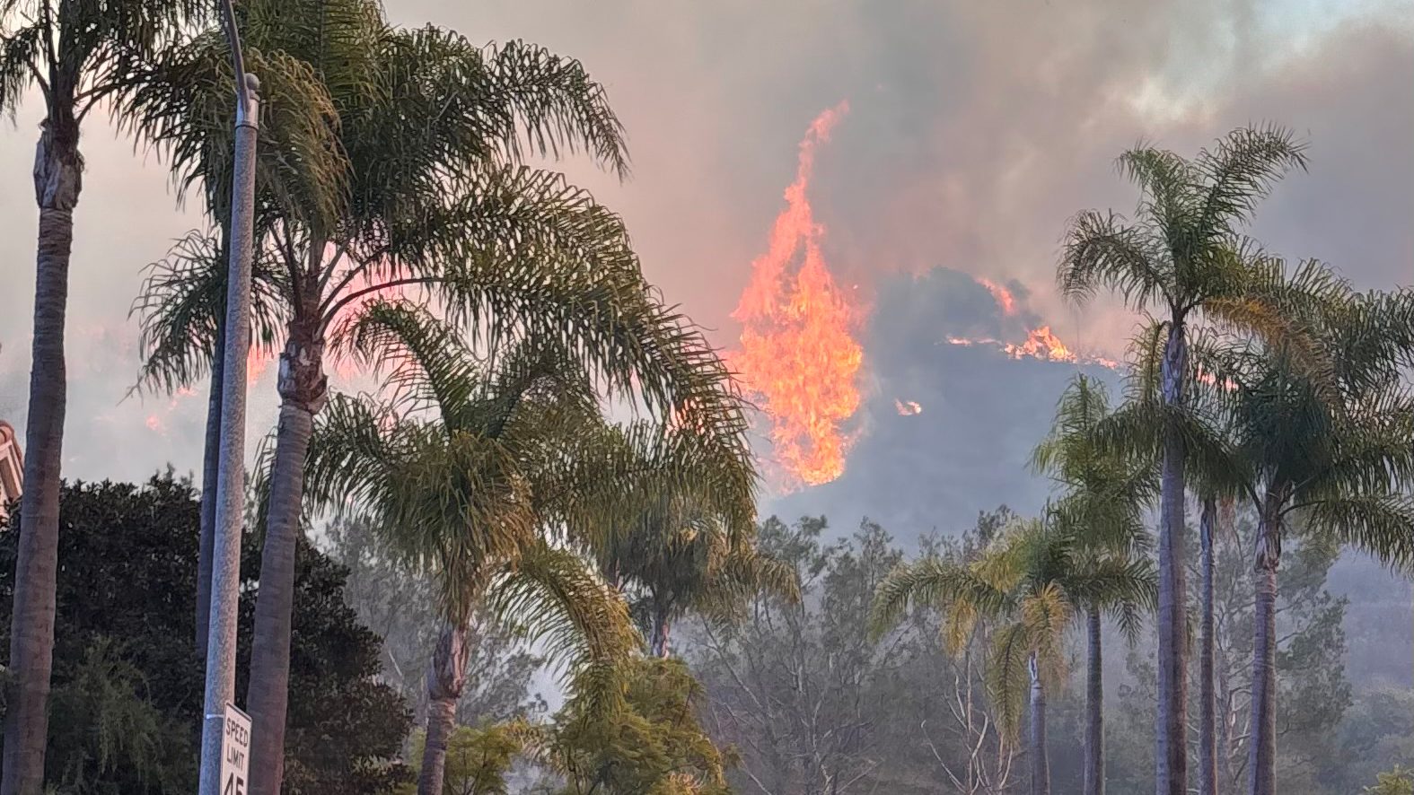 Los Angeles wildfires force evacuations of tens of thousands