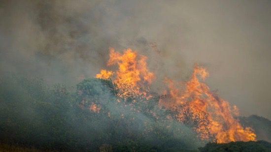 27-07 Greek fires