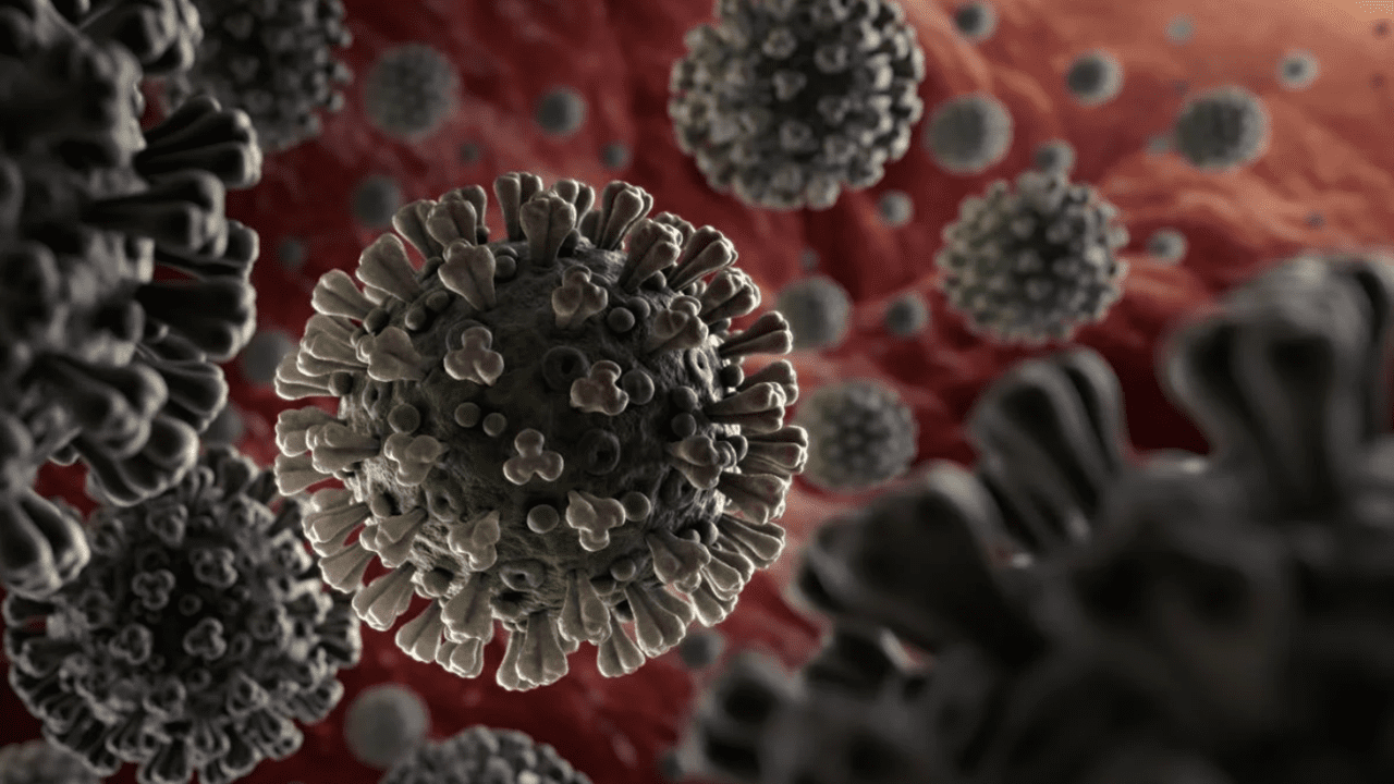 COVID-19: know it so that we can fight it