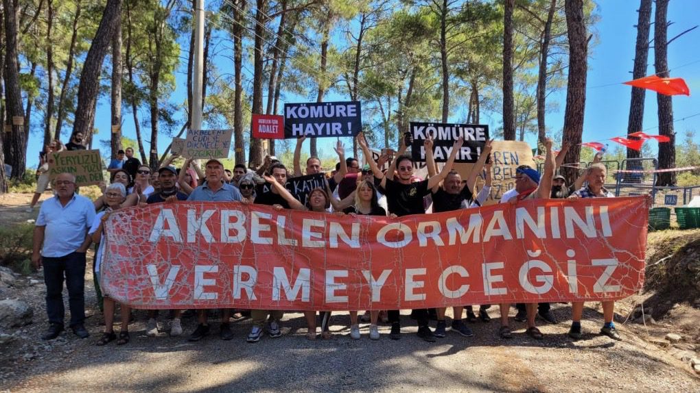 Akbelen forest Turkey