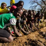 Youth in Burkina Faso plant crops
