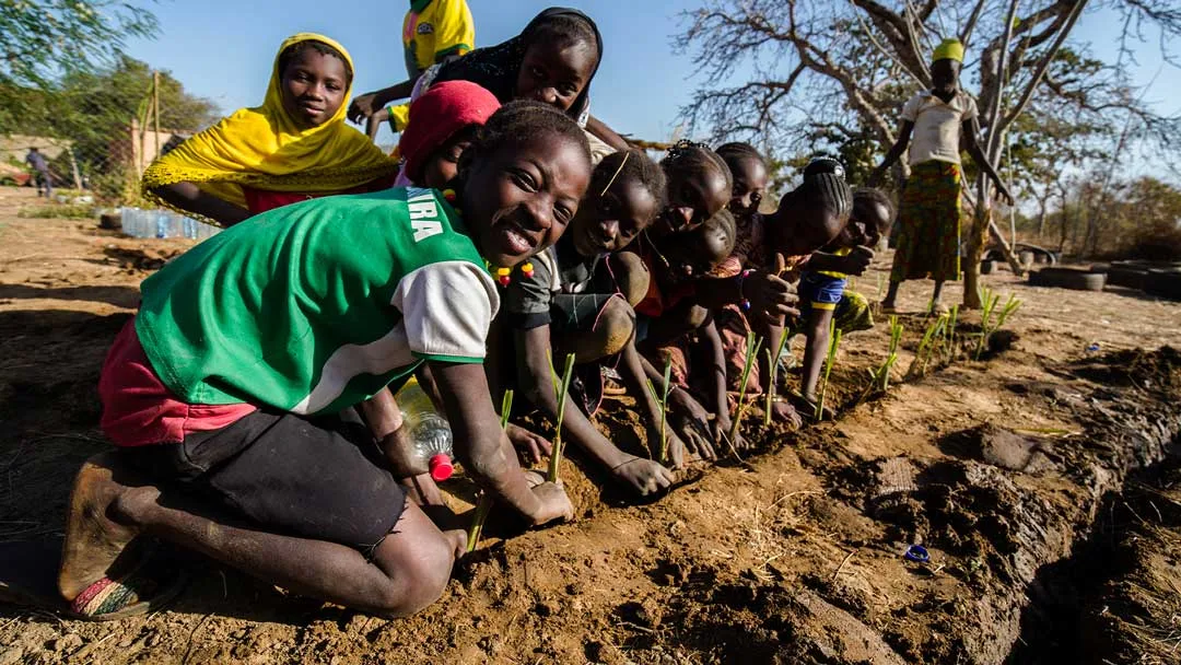 Youth in Burkina Faso plant crops