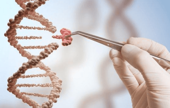 New studies raise apprehension about use of CRISPR technology in medicine