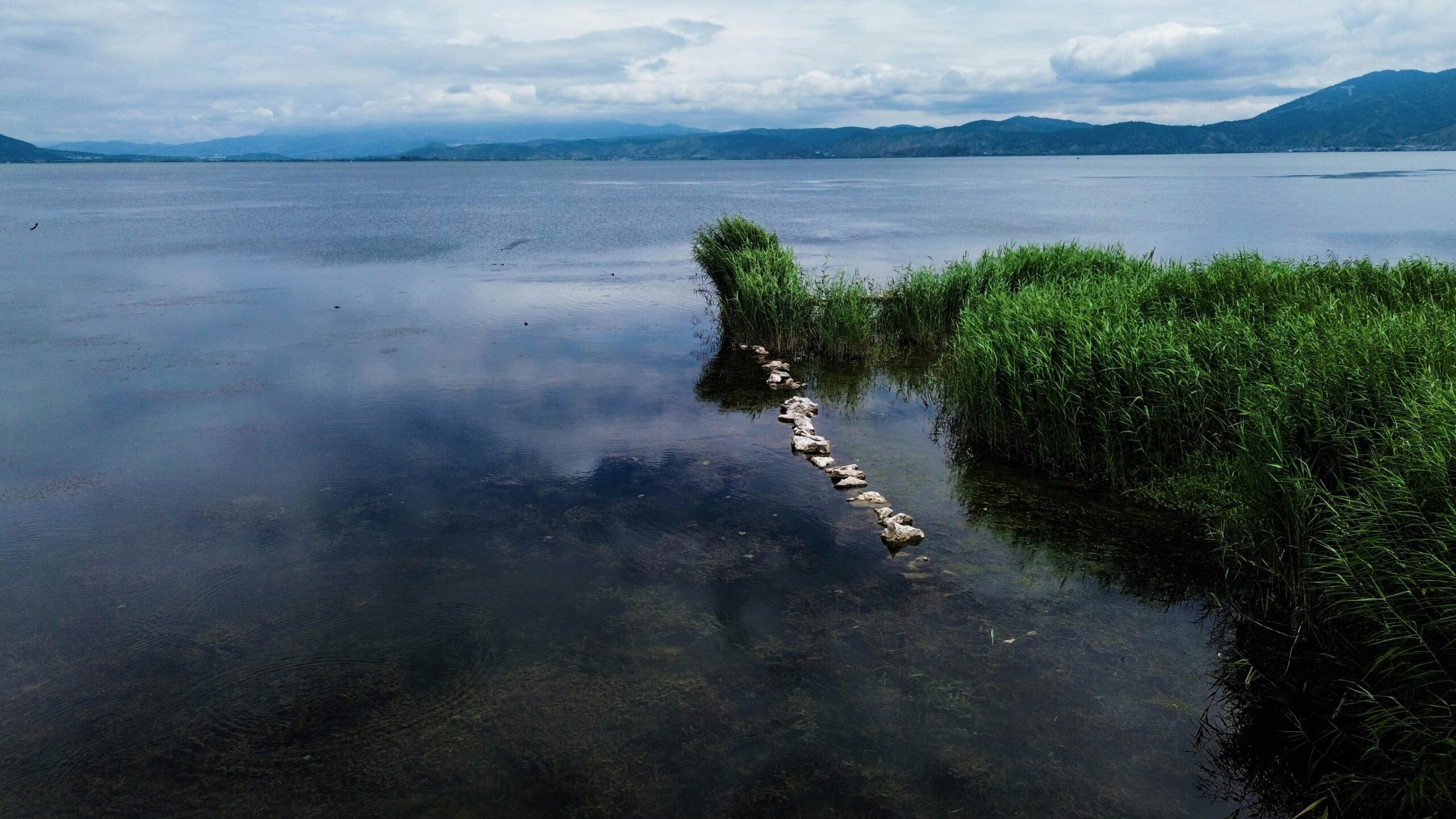 Hacer que el lago Erhai vuelva a florecer: Una historia sobre la transformación ecológica de China