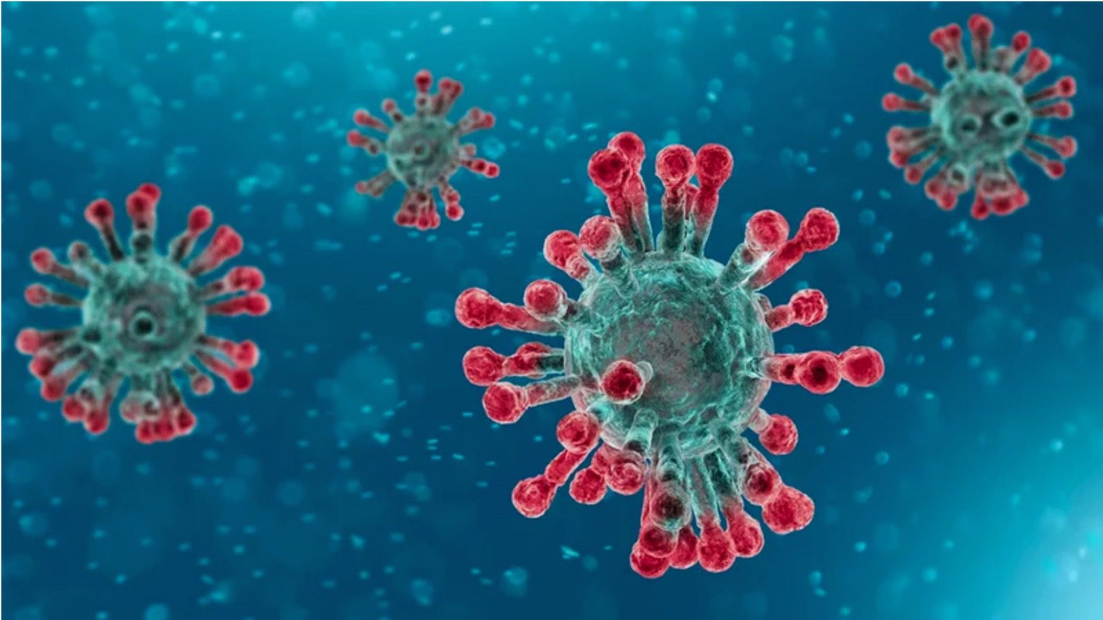 Covid-19 Pandemic Poses Fundamental Challenges to all Societies