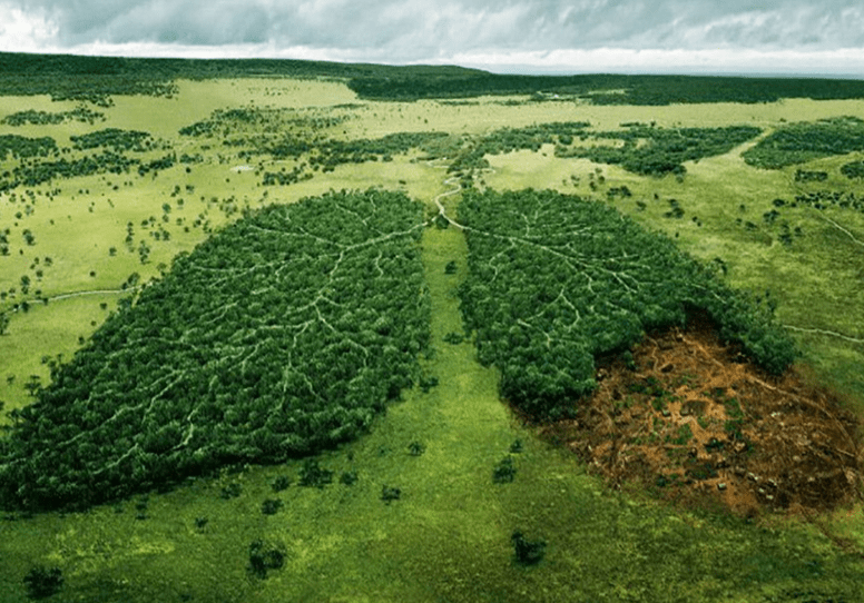 FAO report rings warning bell on loss of biodiversity