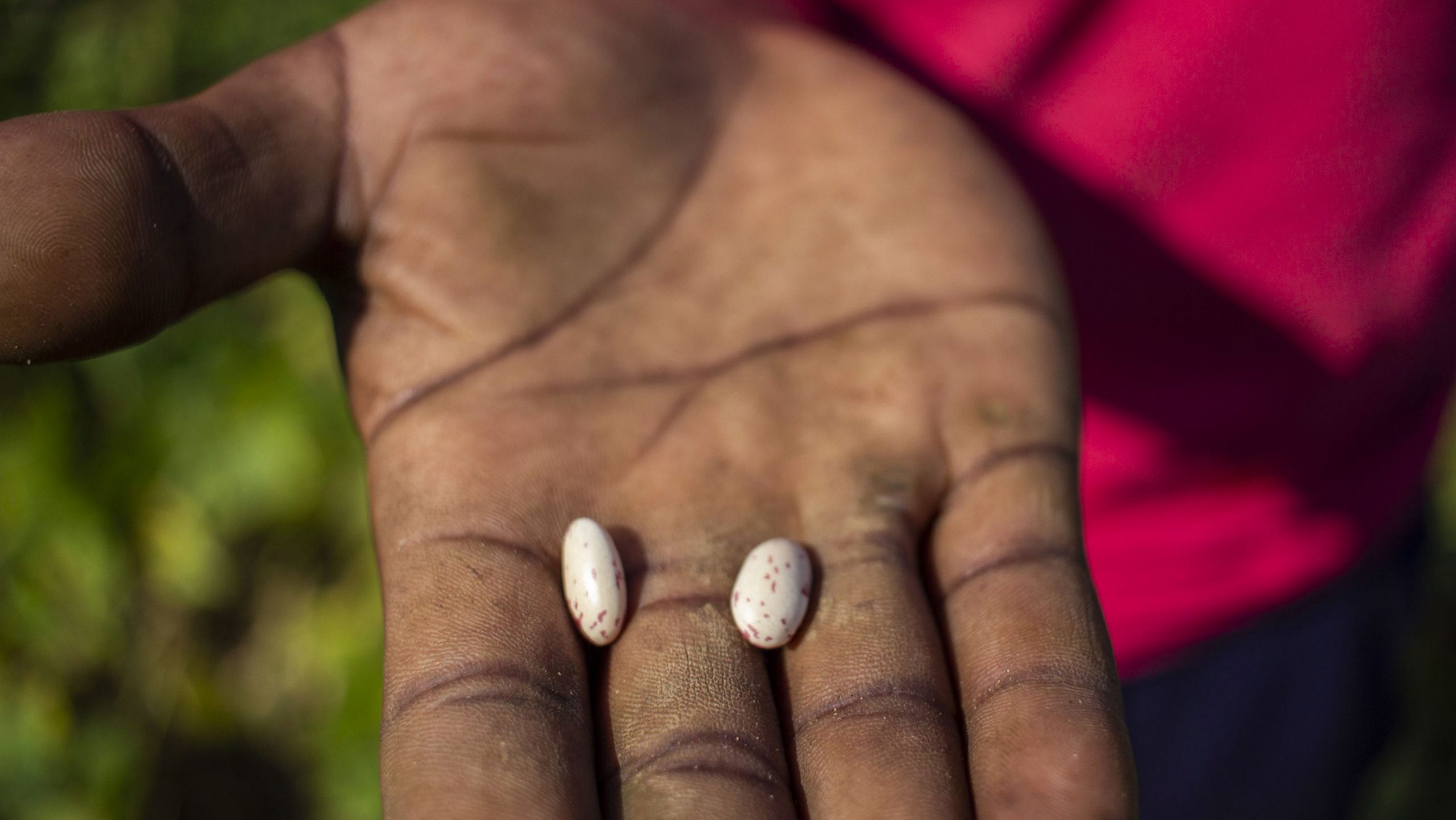 Historic setbacks in fight against hunger, UN reports