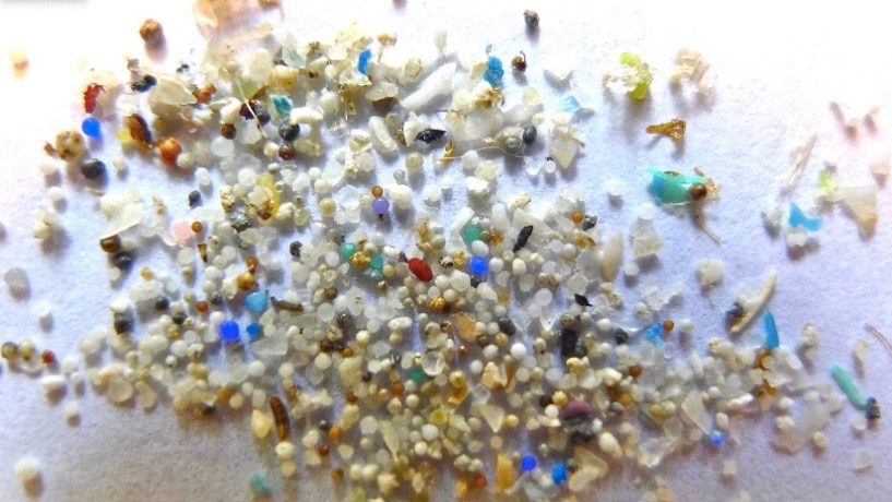 Microplastics in Antarctica