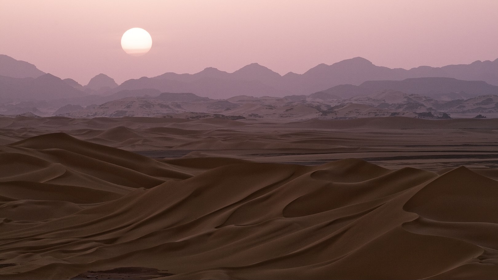 ﻿The unremarkable death of migrants in the Sahara Desert