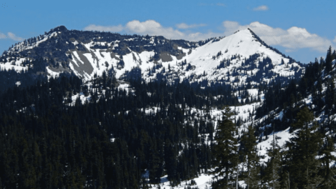 Climate change: New research shows Alps turning green from white