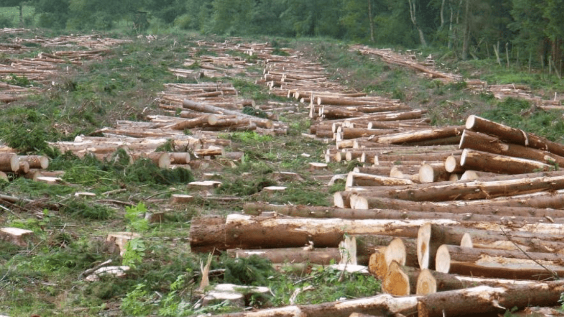 30% of Species threatened or extinct globally since 1500