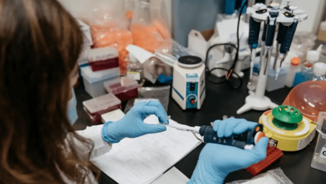 Mega project failed to reproduce high impact cancer researches, raises questions