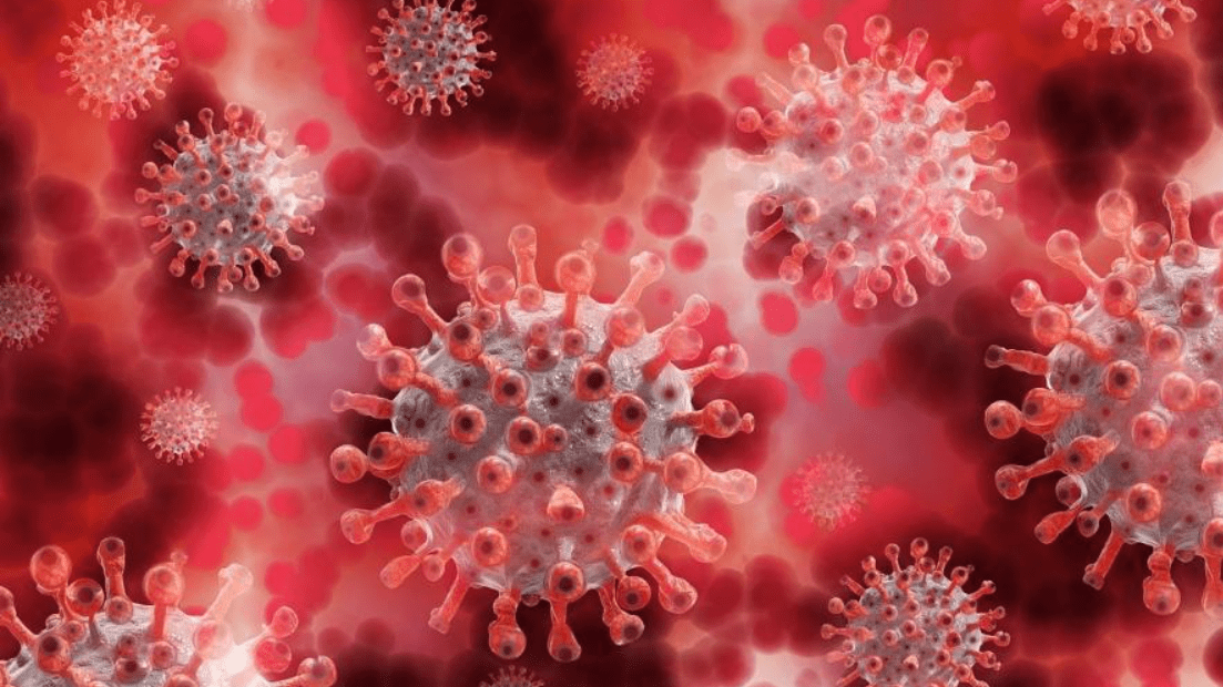 Super immunity against coronavirus wanes with time, suggests new research