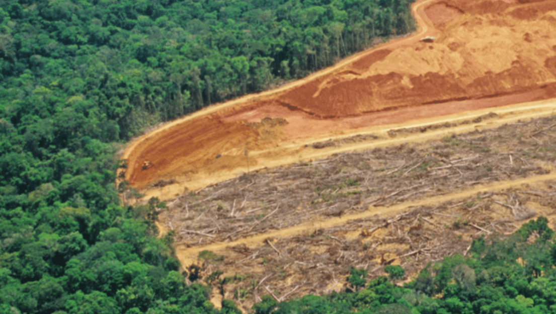 44% of Earth’s land requires conservation for protection of biodiversity and ecosystem, say scientists