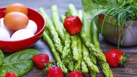 Human nutrition study