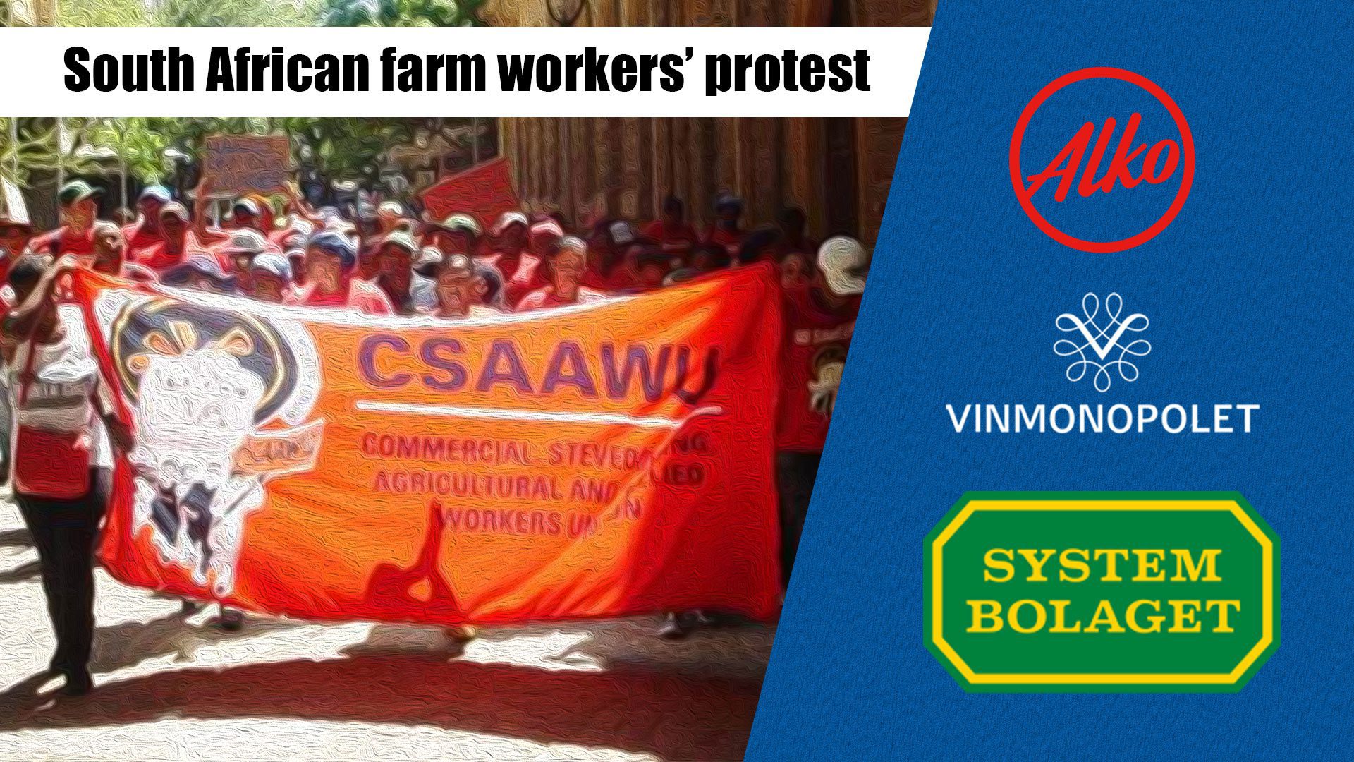 South African farm workers protest