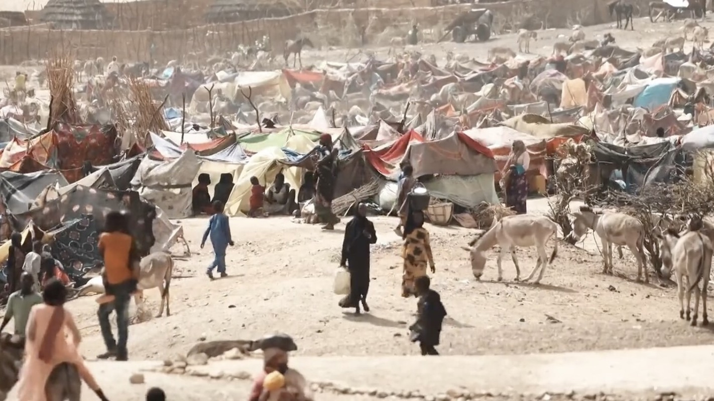 One year of war in Sudan accompanied by dengue concerns