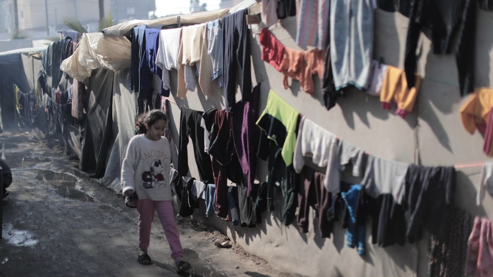 Hundreds of thousands in Gaza at risk of starvation and disease