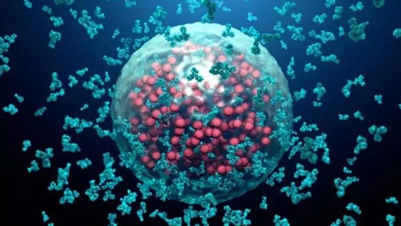 Neutralising antibodies can be marker of COVID-19 vaccine efficacy