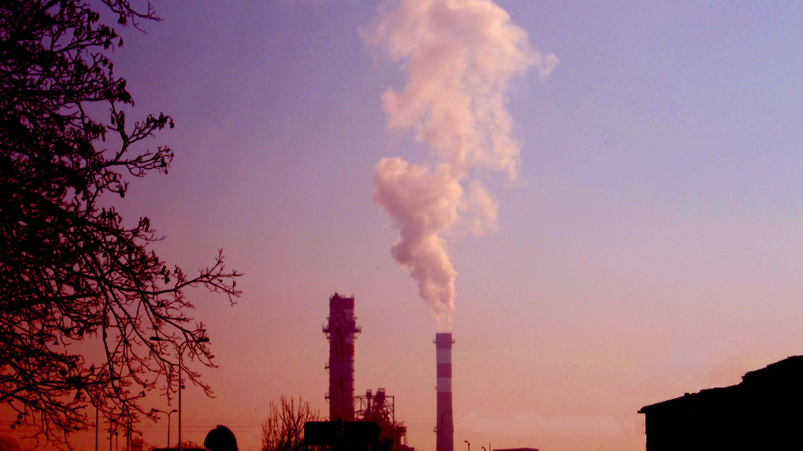 Carbon emissions