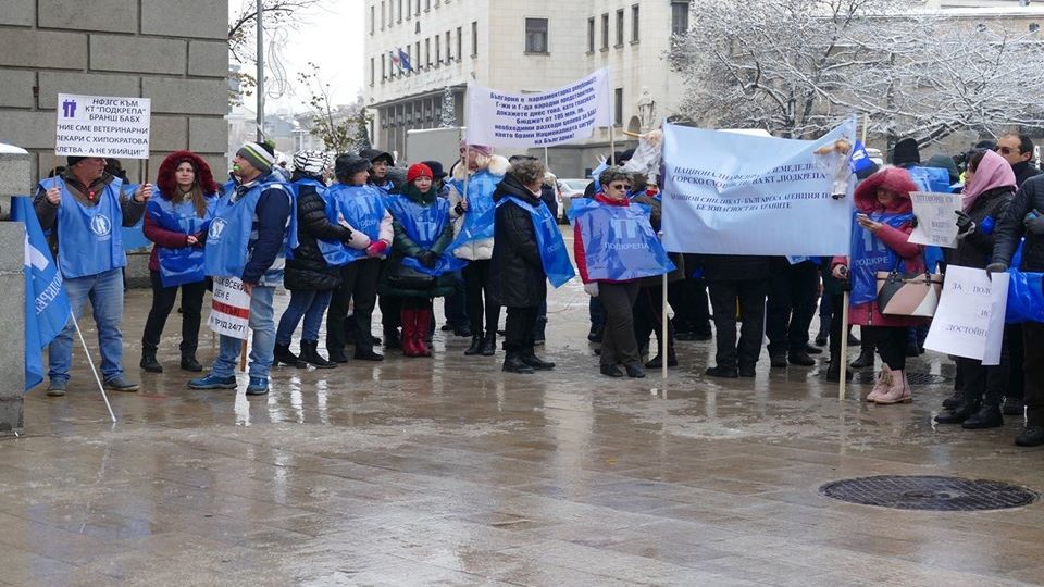 Bulgaria protests