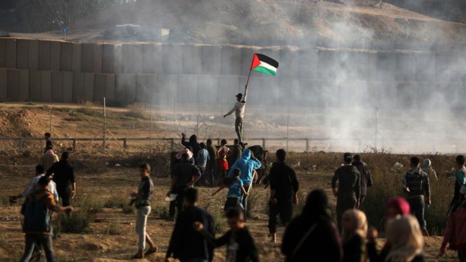 Gaza deaths