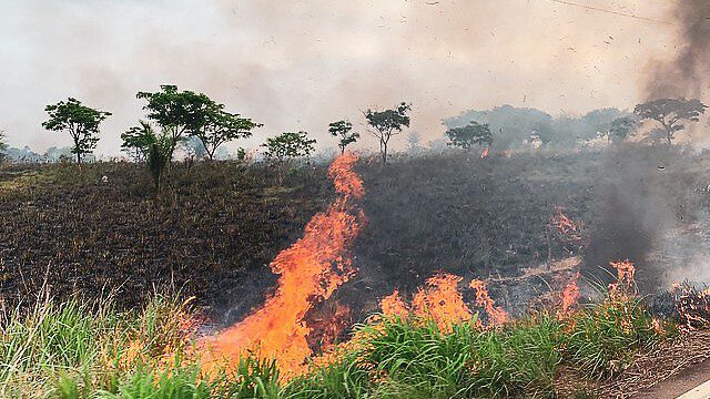 Bolsonaro issues decree, experts warn that it encourages Amazon deforestation