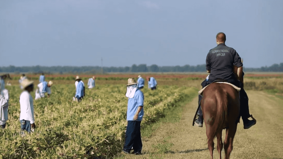 Black prisoners organize for dignity in Angola, Louisiana’s modern-day plantation