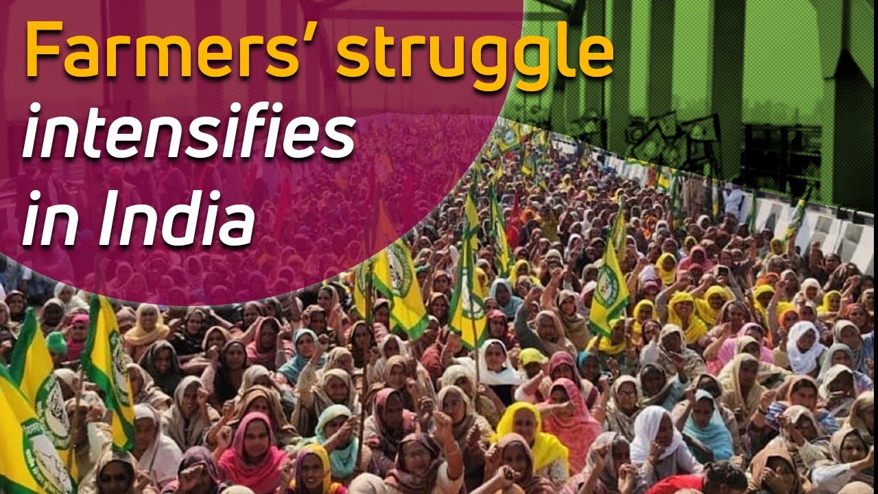 Farmers block roads across India in protest against farm laws
