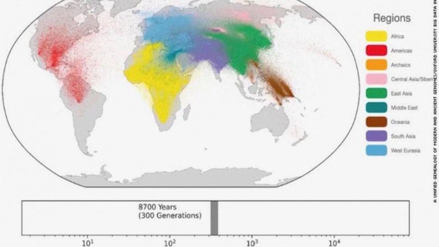Human DNA history