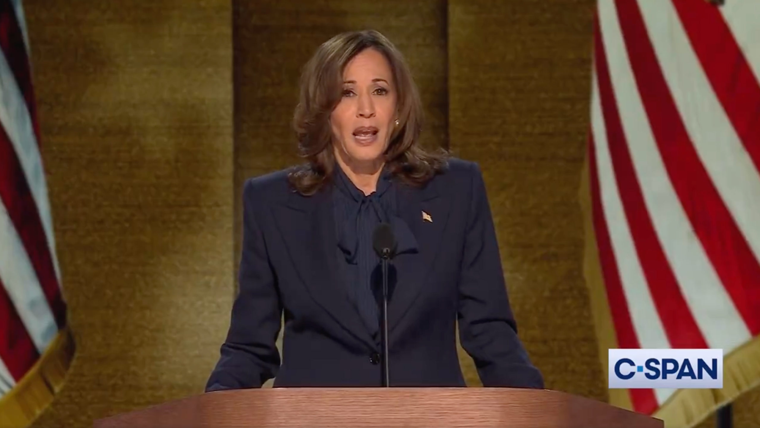Kamala Harris accepts nomination from Democratic Party National Convention