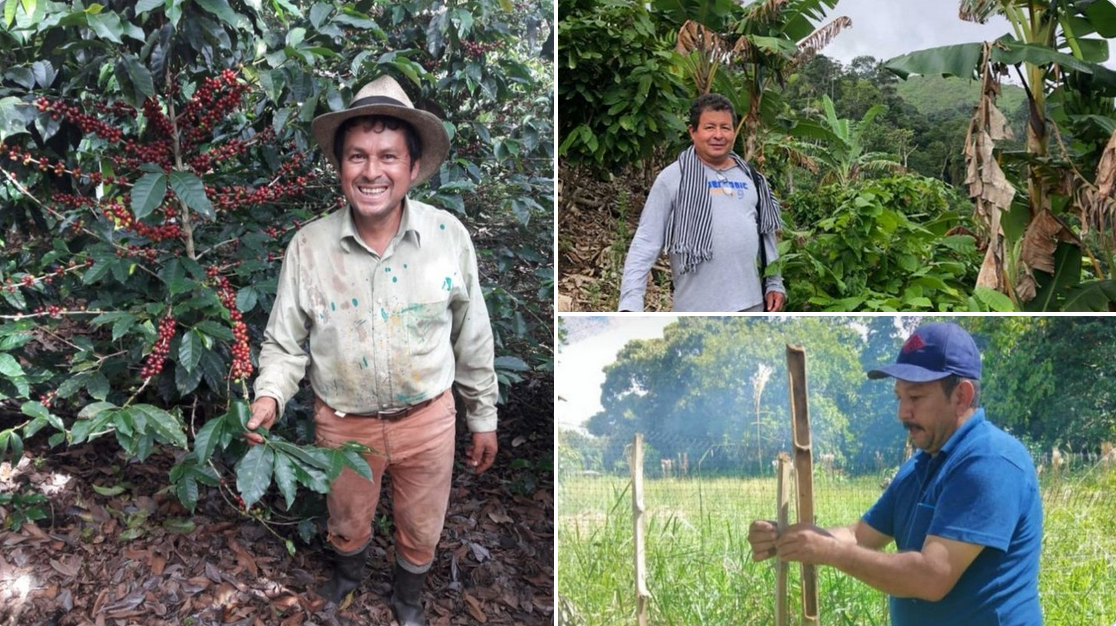 Colombian social organizations hail release of peasant leaders, condemn ‘frame-up’