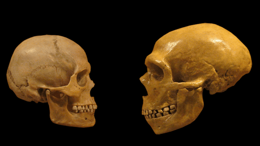 New study reveals only up to 7%  of the genome is unique in modern humans