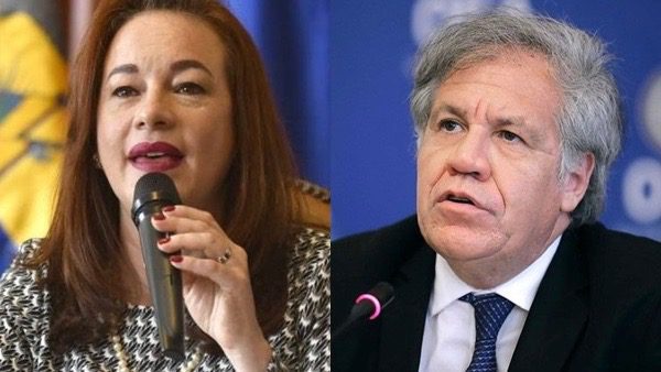 Objections raised over holding OAS elections amid COVID-19 outbreak