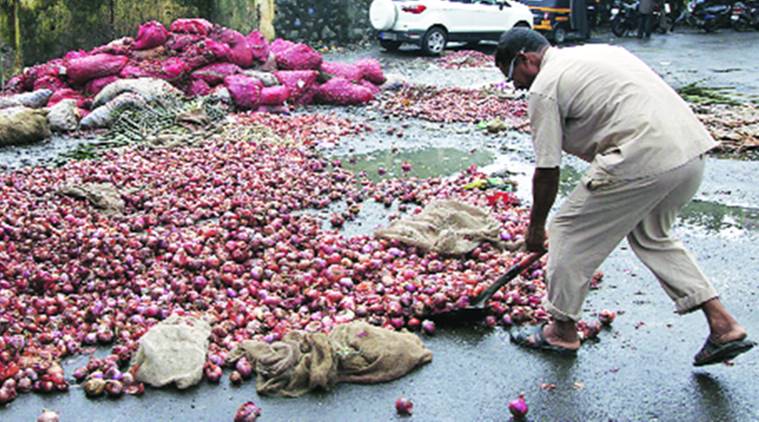 Onion farmers in India stare at crisis amid fluctuating price cycles