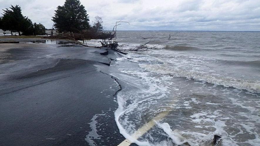 Half of the world’s oceans are already affected by human-induced climate change