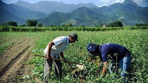 Save lives to save the economy, says Via Campesina Brazil