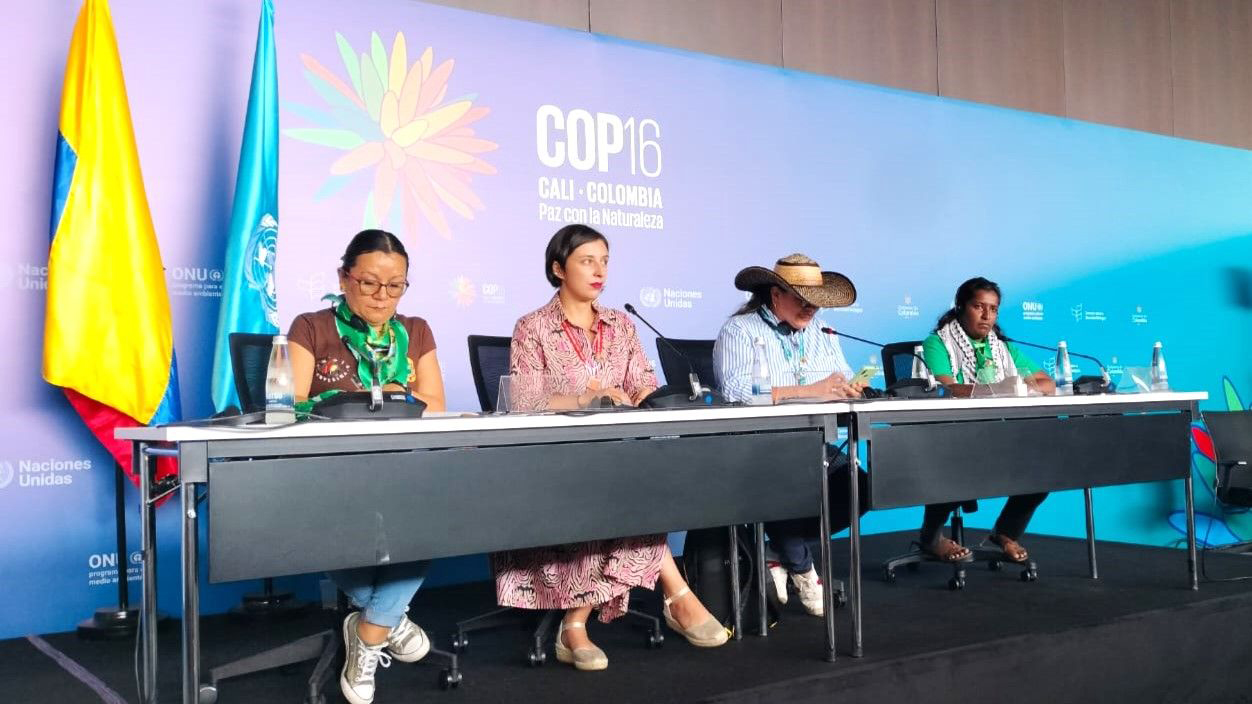 Peasants will be able to approach courts using the provisions of the declaration if it is adopted. UN Human Rights Council adopts landmark declaration of peasants' rights