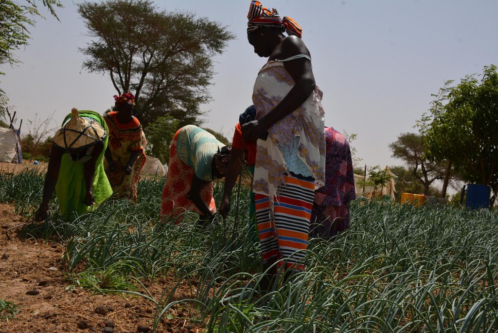 Yelemani women