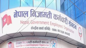 General Federation of Nepalese Trade Unions - BT News General Federation of Nepalese Trade Unions
